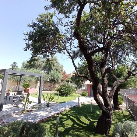 Bed&Breakfast Villa Nora 콰르투 산텔레나 외부 사진